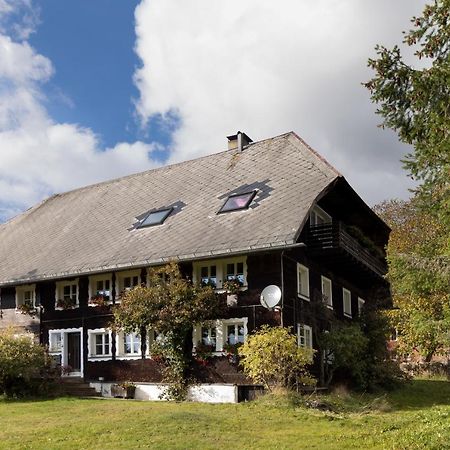 Dachsberg im Schwarzwald Waelder: Quartier Dachsbergヴィラ エクステリア 写真